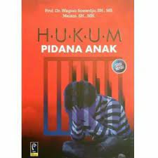 HUKUM PIDANA ANAK (REVISI)