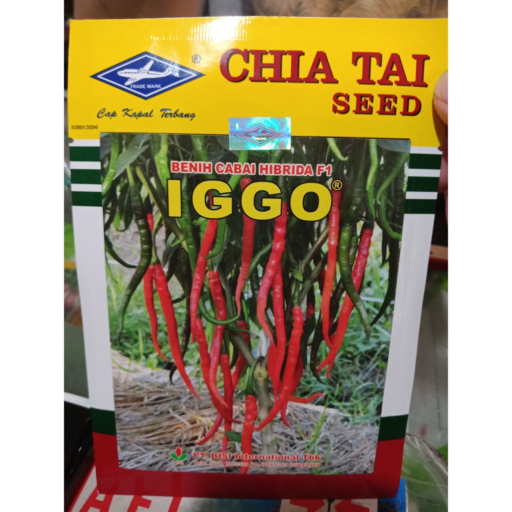 10g Benih Cabe Keriting Iggo Benih Cabe Iggo Benih Cabe Merah Keriting Iggo – Chia Tai Seed