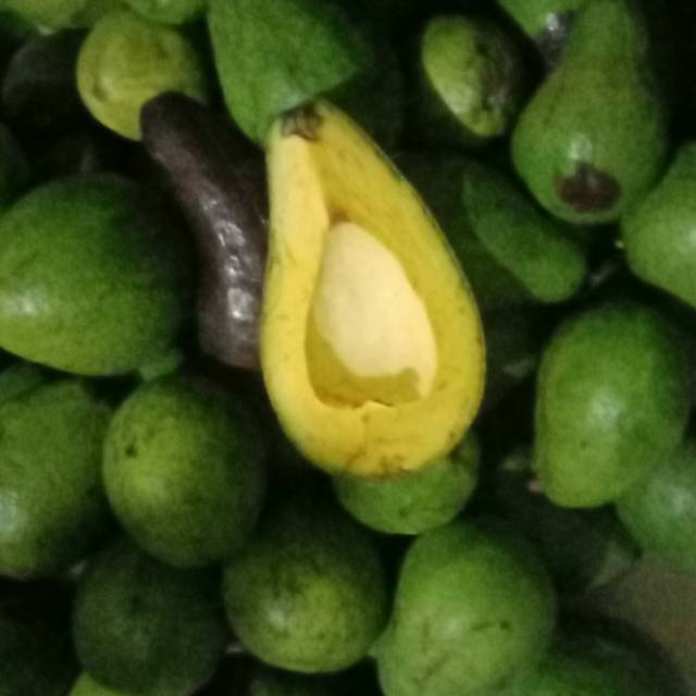 

Alpuket mentega asli