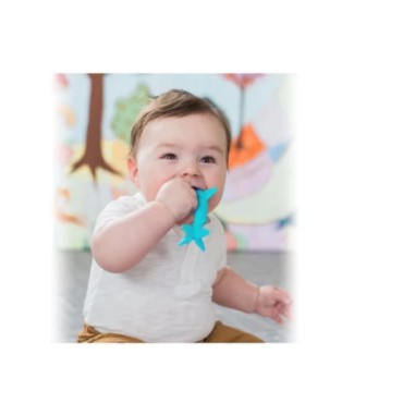 Nuby Lil Shark Sensory Teether Toothbush Mainan Gigitan Sikat Gigi