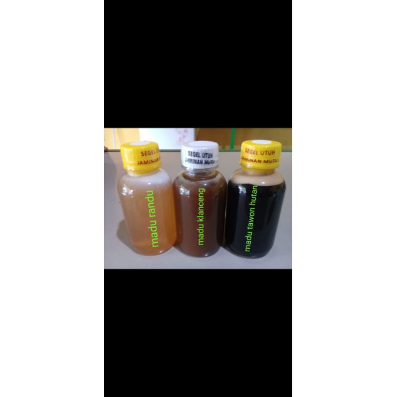 

madu asli panen sendiri beli lebahnya saja+sarang bisa