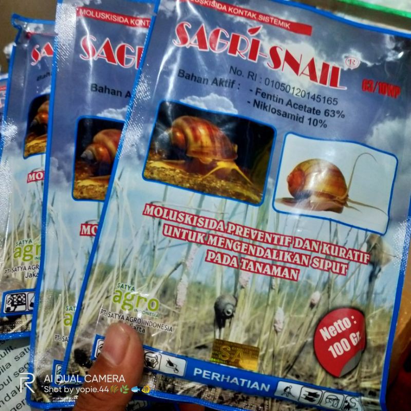 SAGRI-SNAIL 63/10WP MOLUSKISIDA 100 GRAM OBAT PEMBASMI KEONG SAWAH/TAMBAK