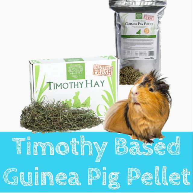 timothy hay cubes for guinea pigs