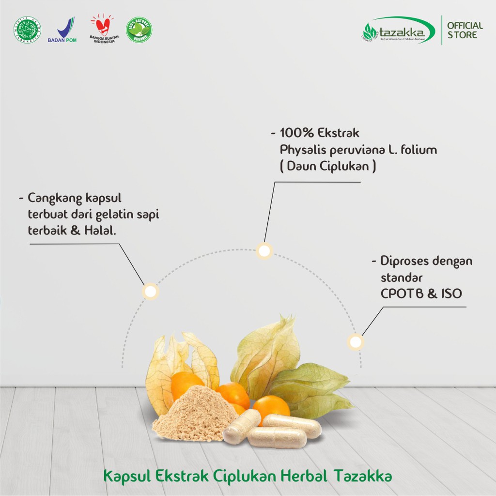 Kapsul CIPLUKAN Tazakka | Obat Pencegah Kanker | Obat DIURETIK | isi 60 Kapsul HALAL BPOM ORIGINAL