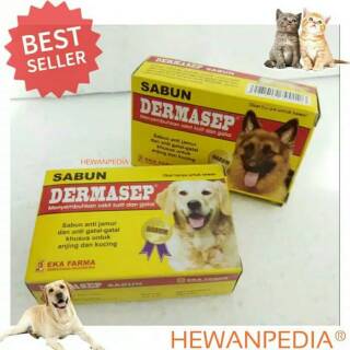 660+ Gambar Hewan Kelinci Dari Sabun Gratis Terbaik