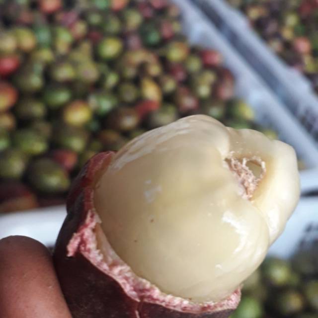 Buah matoa 3 rasa..(rambutan,klengkeng,durian)