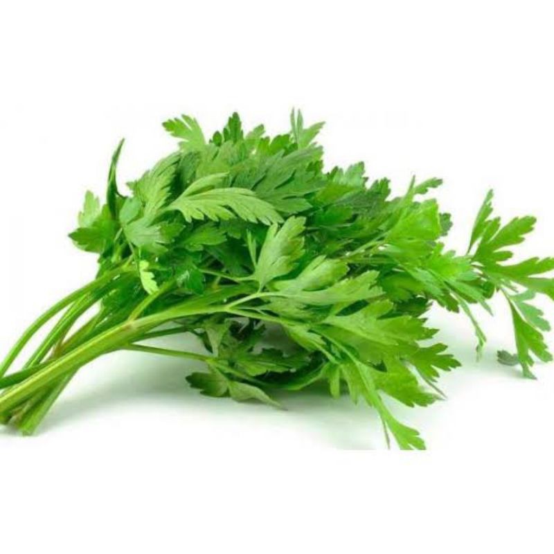 

seledri / daun seledri 100gr