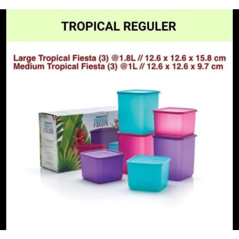 TOPLES PLASTIK TOPLES TUPPERWARE TOPLES KUE TOPLES PLASTIK MURAH TOPLES LEBARAN