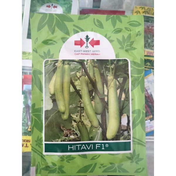 HITAVI F1 Benih Terong Hijau