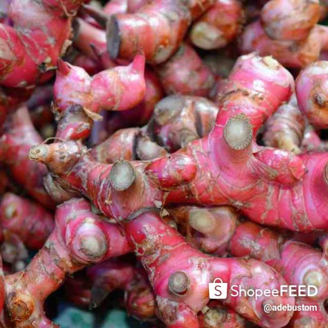 

Jahe merah segar 250 gr