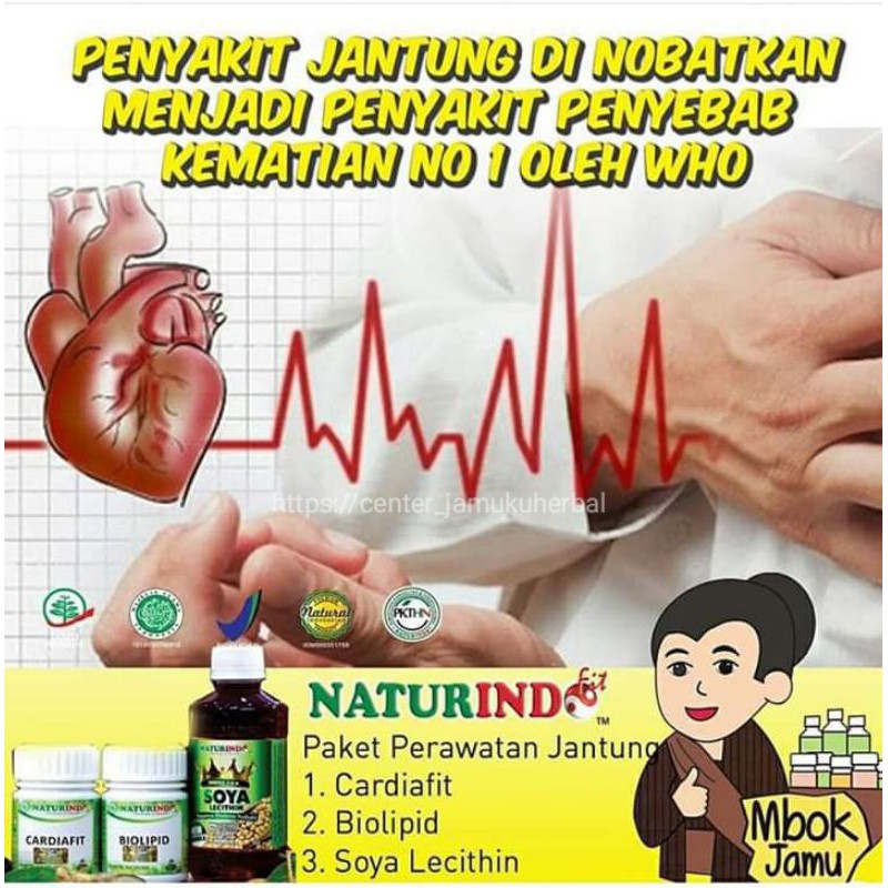 PAKET OBAT HERBAL PERWATAN DAN KESEHATAN JANTUNG.HERBAL NATURINDO FRESH