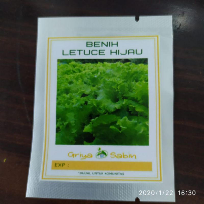 benih sayuran organik letuce hijau