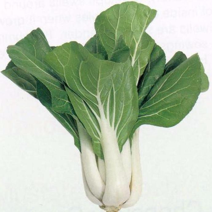 

UNIK Bibit Biji Benih Sayur Pak Choy/sayur Choi F1 50 butir 2 SEPTEMBER