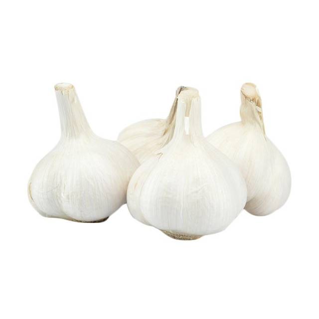 Bawang putih kating / garlic bersih 1kg