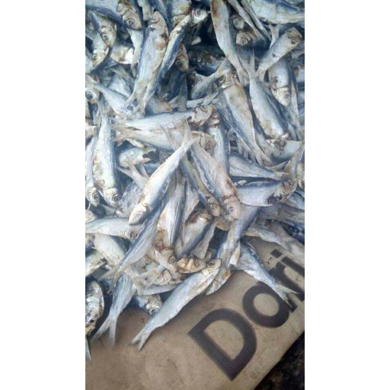 

ikan asin