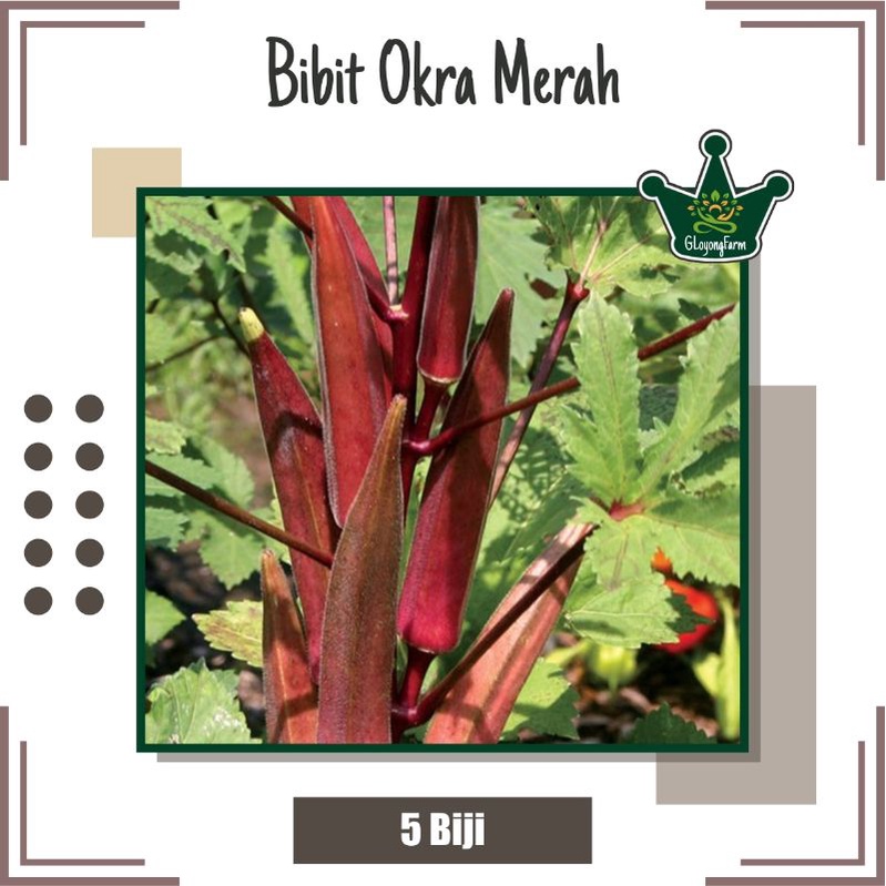 Bibit Okra Merah Carmine Splendor F1 - Benih Sayuran