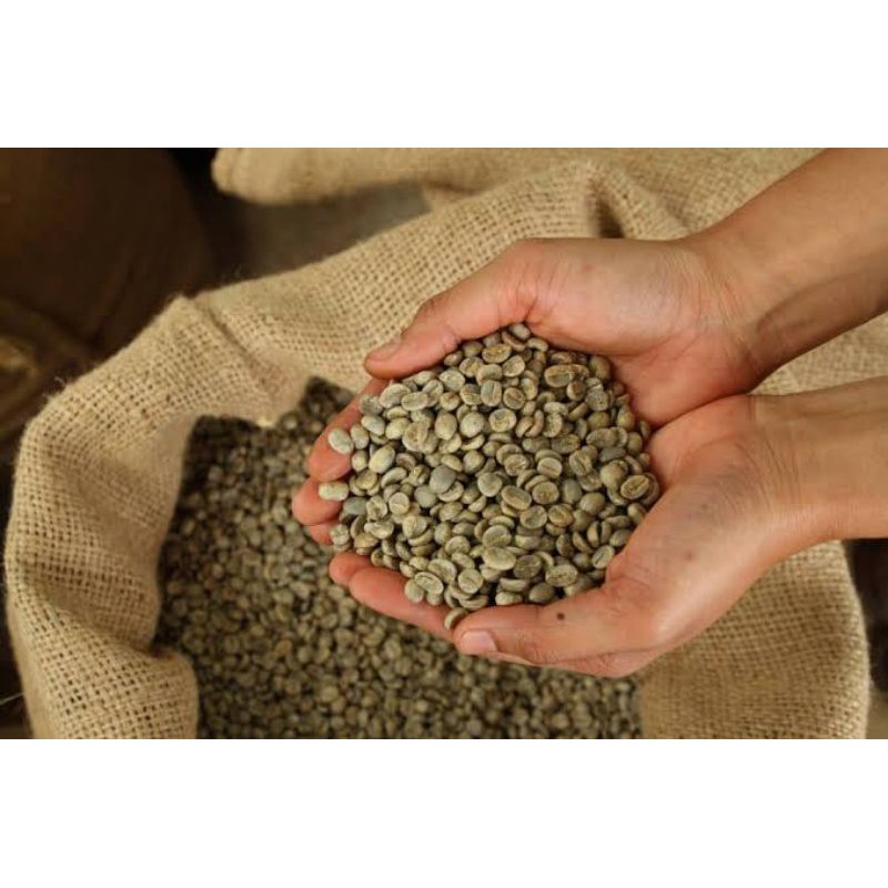 

kopi Gayo Arabic green Bean peaberry 200gr