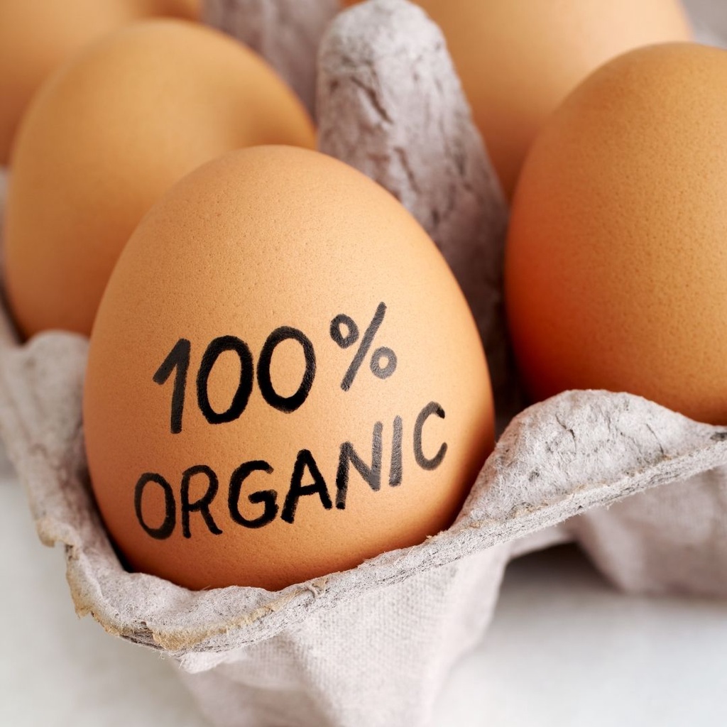 

RB Telur Ayam Omega Organik Per Kg Supplier Telur Hen - Hen