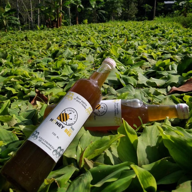 Madu Asli 500 ml kemasan botol kaca