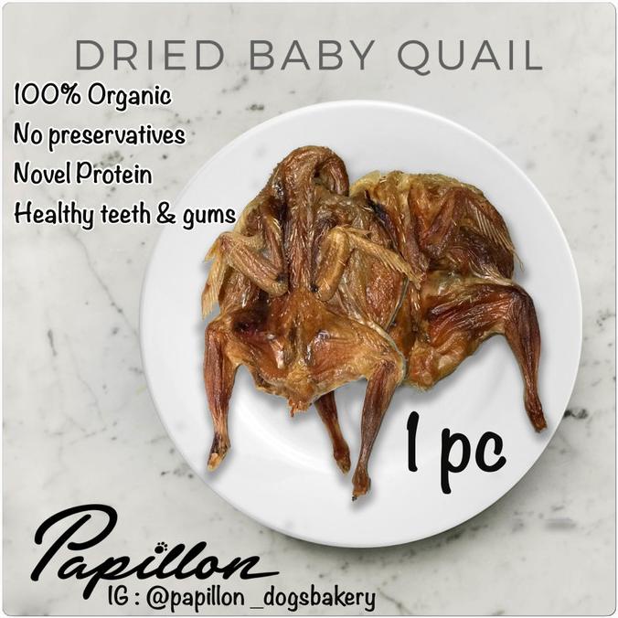 

[PROMO MURAH BISA COD] Dried Baby Quail