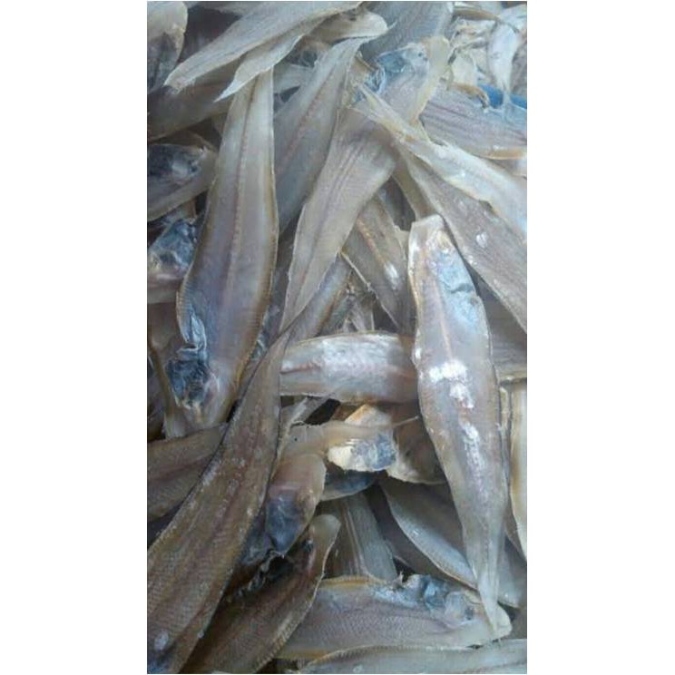 

Ikan Lidah Asin ( @ 1.000 Gr )