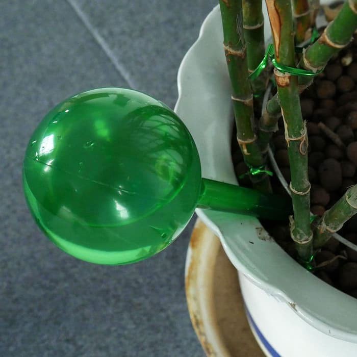 Pot Bulb Automatic Self Watering