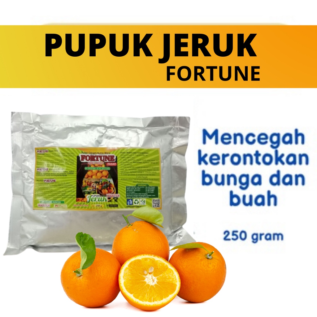 Jeruk: Vitamin C Booster Buat Body Imut Gak Manja Virus!