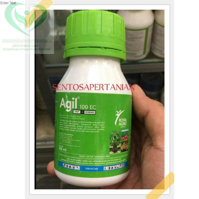 herbisida sistemik selektif AGIL 100EC 250ml dari ROYAL AGRO aman untuk cabai
