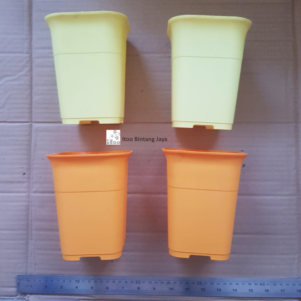 Pot kotak NKT 12 cm. Warna Warni Untuk Kaktus, Sukulen dan Karnivora