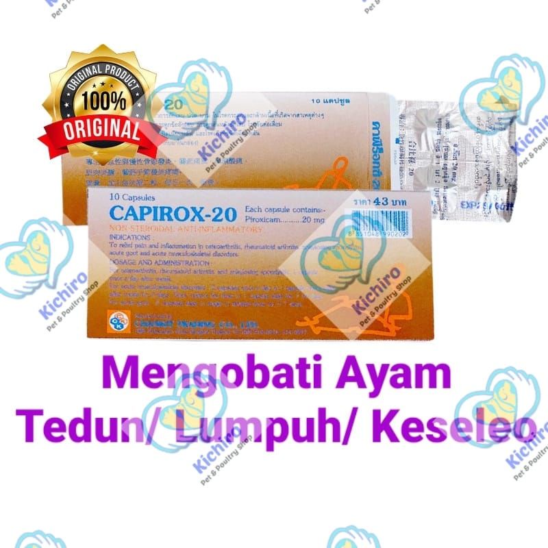 Capirox-20 isi 10 Kapsul Import Bangkok Thailand Obat Ayam Lumpuh Tedun Keseleo