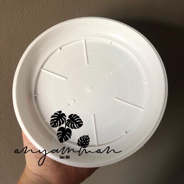 Tatakan Pot  Tanaman Kecil  Untuk Pot  Tawon  Plastik Putih 