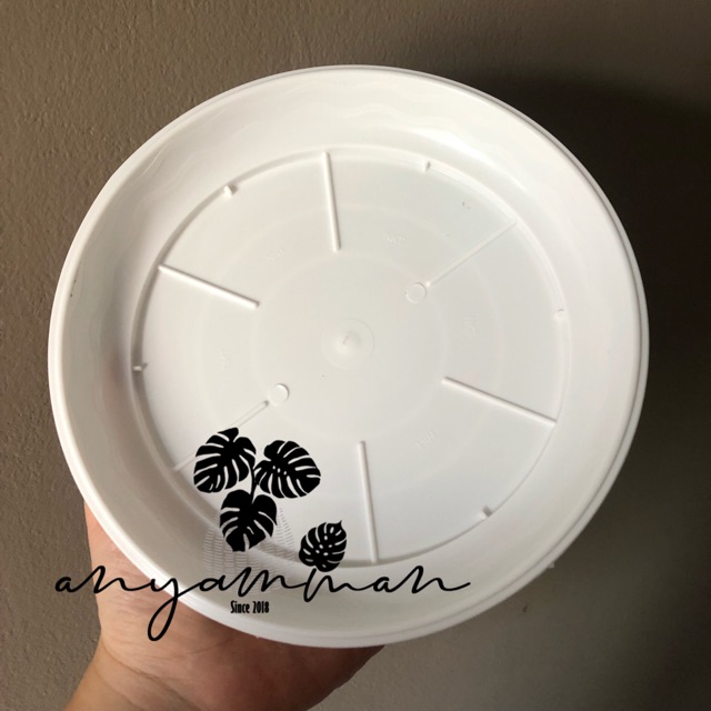 Tatakan Pot Tanaman Kecil Untuk Pot Tawon Plastik Putih Tatakan Pot Tanaman Kecil Untuk Pot Tawon Plastik Putih
