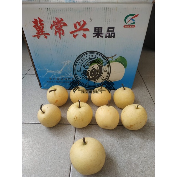 

Buah Pear Pir Century Premium 1 Dus (17 KG) Fresh Import