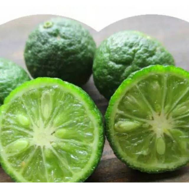 

Jeruk purut tanpa pestisida & pupuk kimia / biji