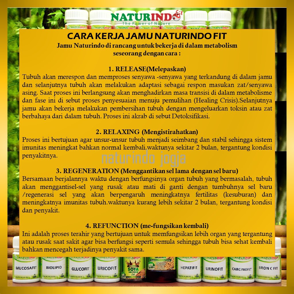 Obat Sesak Nafas Asma Bronkitits TBC Hidung Tersumbat Batuk Berdahak Herbal BRON C FIT Naturindo-4