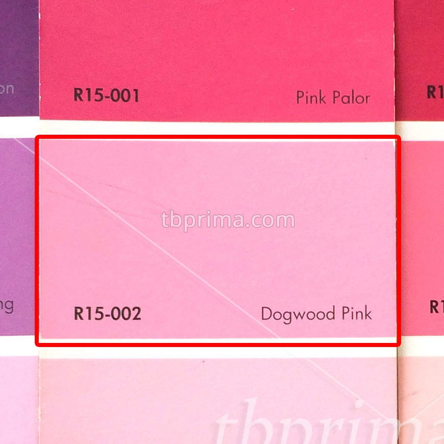 No Drop Tinting R15-002 Dogwood Pink 1 kg