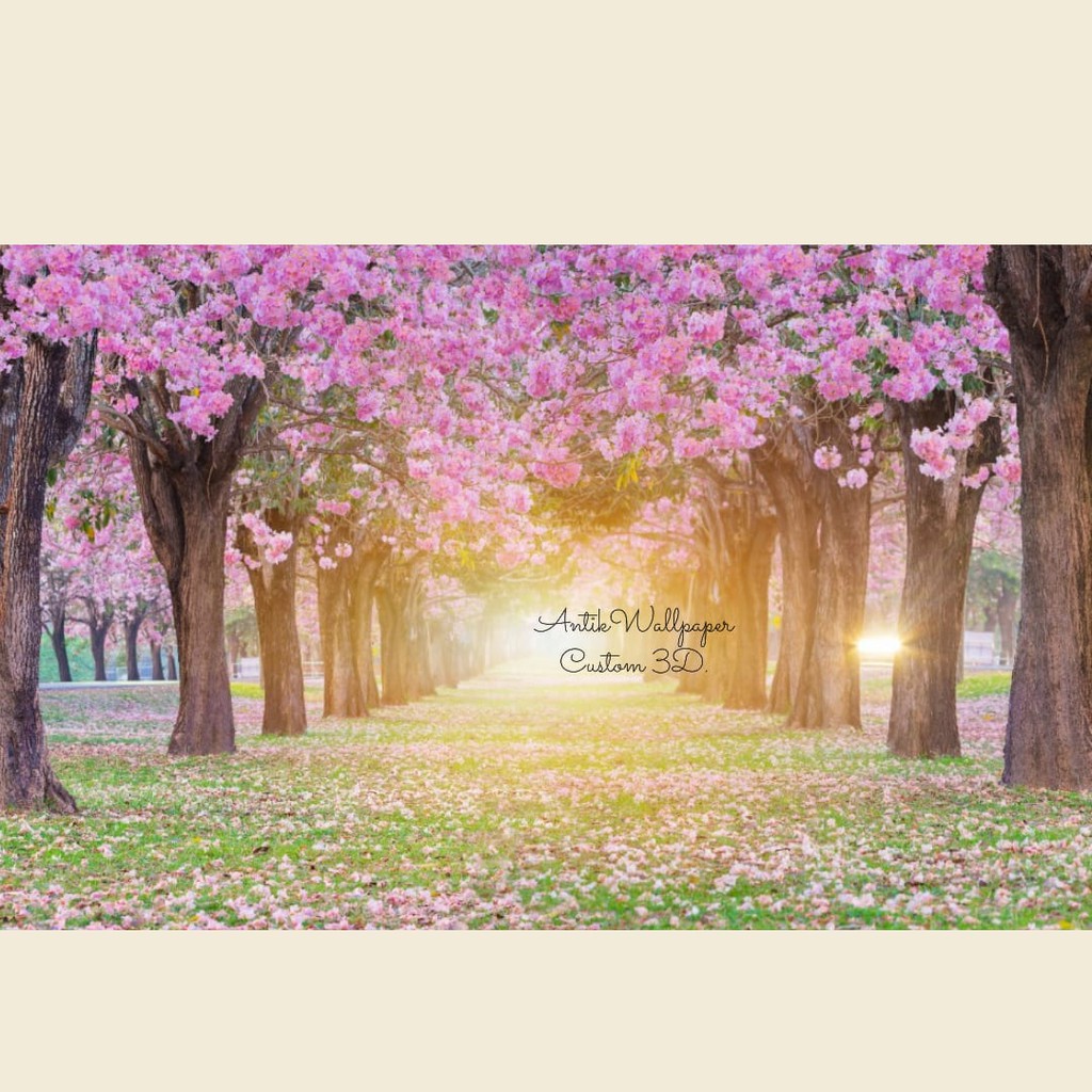 Wallpaper Bunga Sakura 3d Image Num 58
