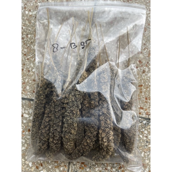 black milet spray, snack hamster/ hiasan. jewawut tangkai hitam