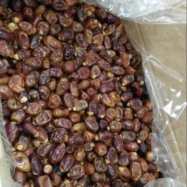 

Kurma red shayer