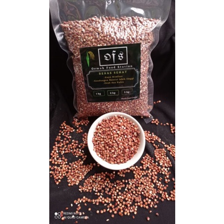 

HG Beras Sorghum Merah Organik 1KG Kaya Nutrisi