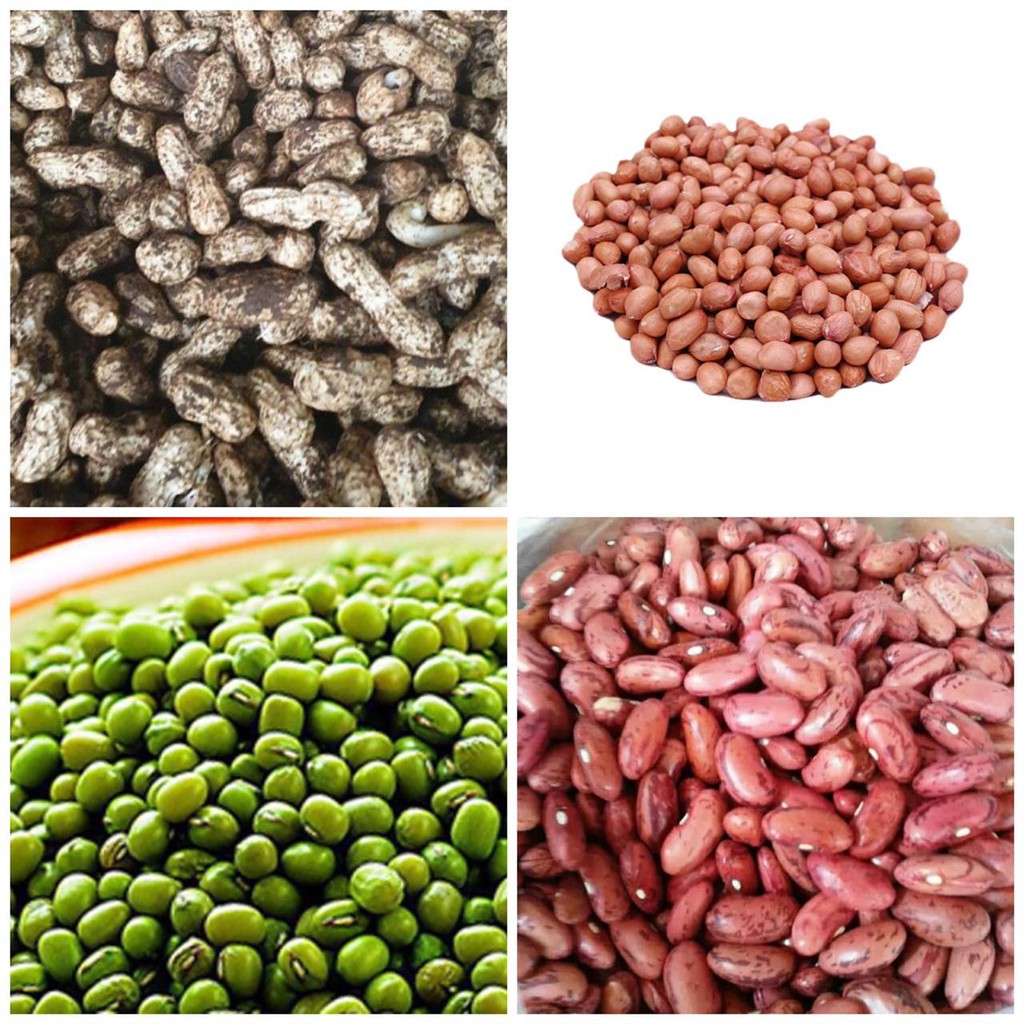

Murah Kacang Tanah / Kacang Kulit / Kacang Merah / Kacang Hijau / Kacang Kupas / Kacang Tanah Kupas
