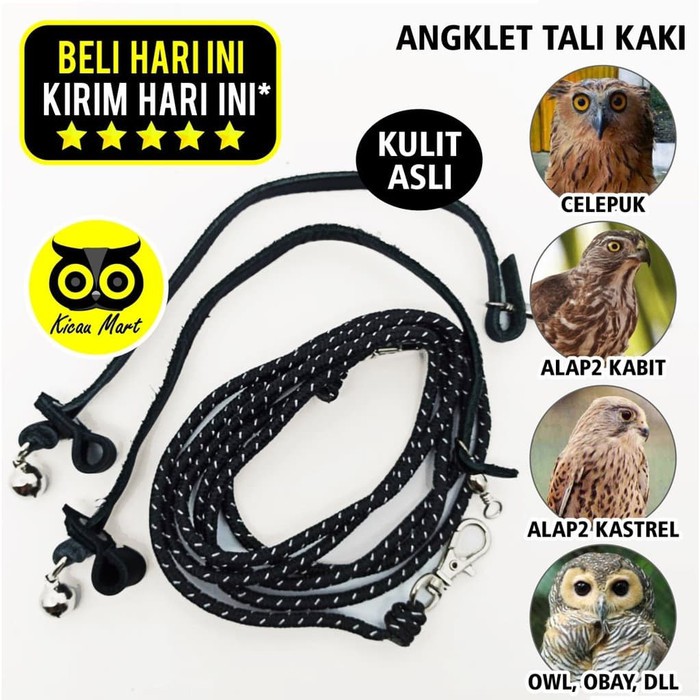 Promo ANKLET CELEPUK TALI BURUNG HANTU ANGKLET CELEPUK KASTREL BIDO ALBA ANG Berkualitas