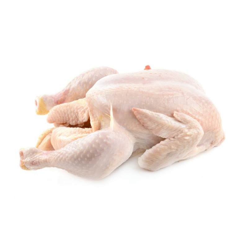 

ayam 1.2