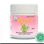 PAKET PELANGSING BOROBUDUR PIL SUSUT PERUT DAN PIL DIYET