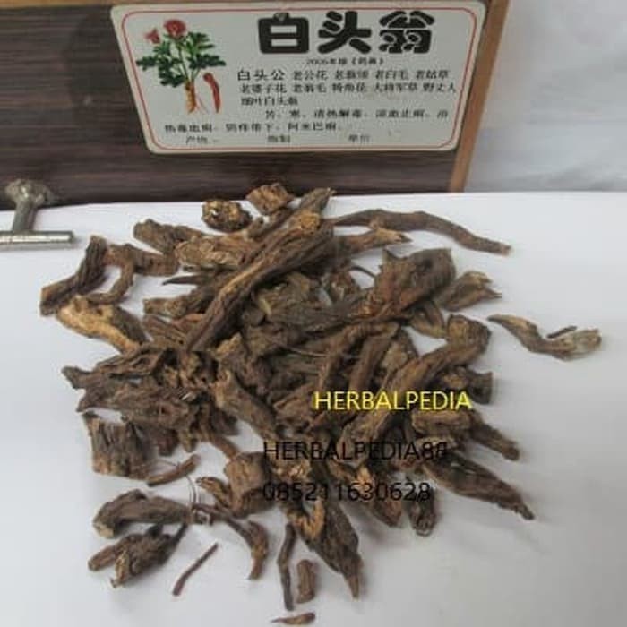 

Bai tou weng 白头翁 Pulsatilla, Chinese Anemone Root 100 gram