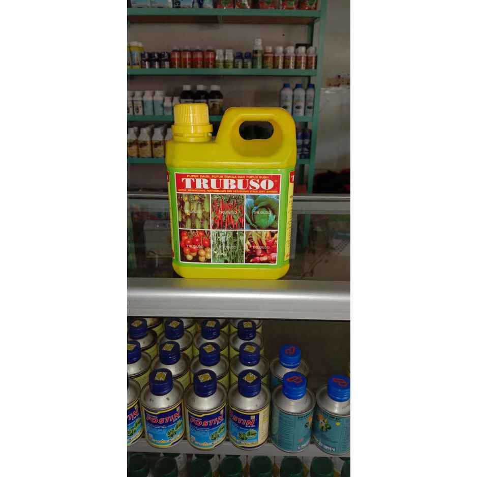TRUBUSO 1L /CARA MEMPERCEPAT PERTUMBUHAN BUNGA, TUNAS , DAUN DAN BUAH
