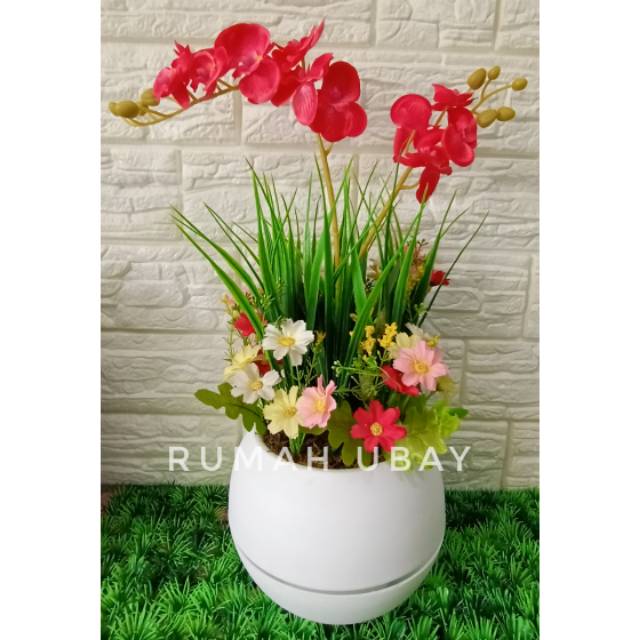 

Anggrek merah 2 cabang dengan rerumputan sebagai pemanis