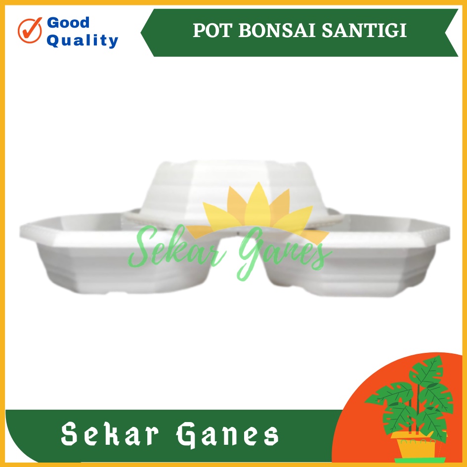 Pot Bonsai Santigi 30 Putih Bonsai Segi 8 By Garden Of Love Pot Bonsai Plastik Kotak Ceper Kelapa