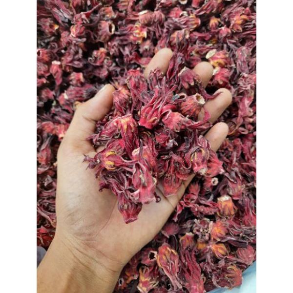 

「Ready Stok」500 gram Bunga Rosela Rosella Kering Basah Segar grade A