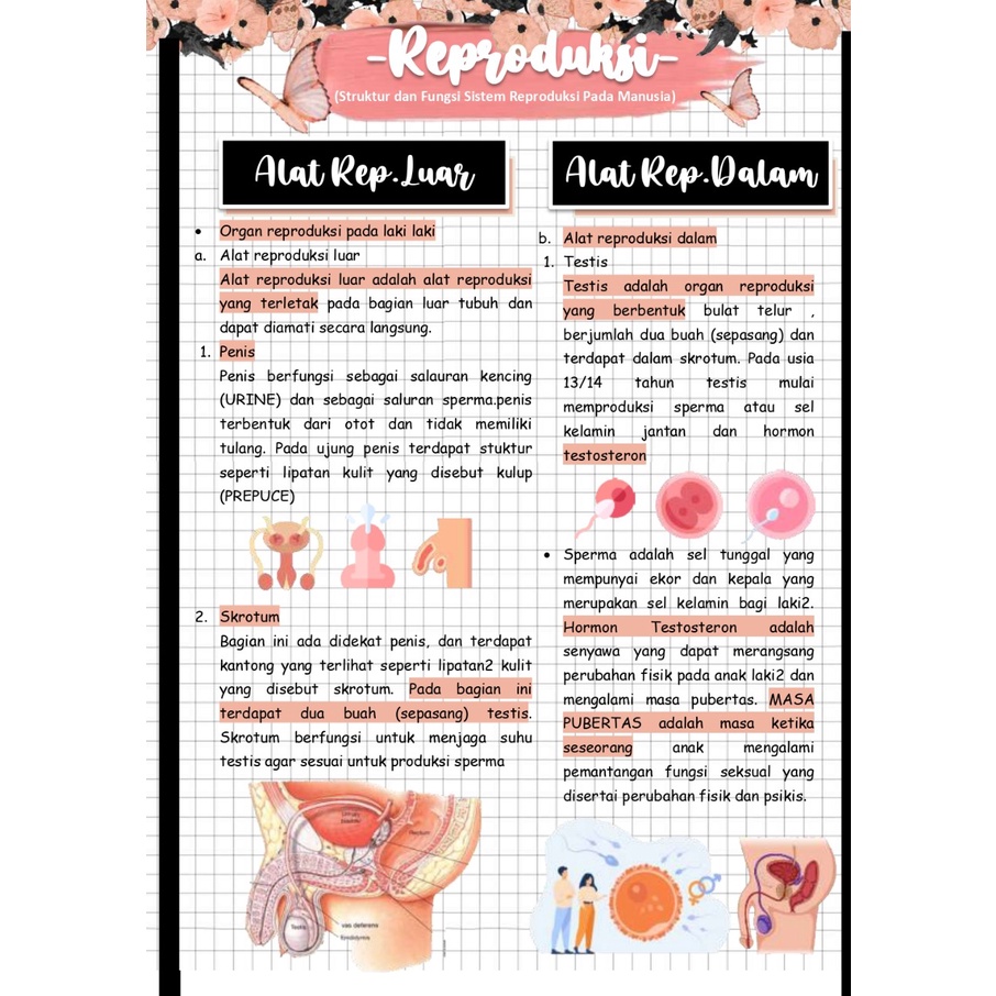 Jasa Tulis/Jasa Tulis Tangan/Jasa Tulis Catatan/Jasa Tulis Ala Studygram